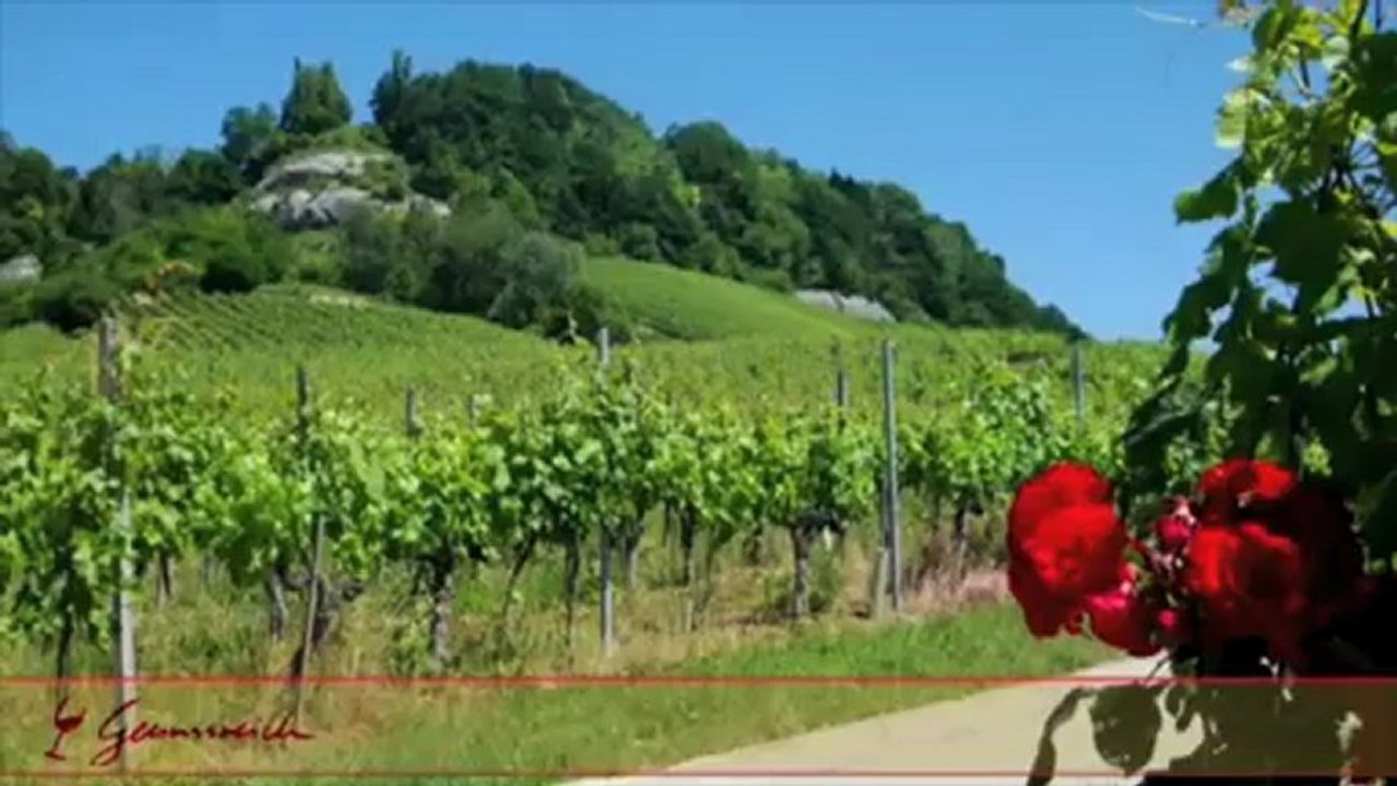 Weinseminar - ganz bequem bei Ihnen zuhause!