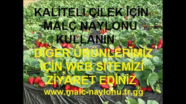 MALÇ NAYLONU,MALÇ ÖRTÜSÜ,MALÇ NAYLONU FİYATI,MALÇ NAYLONU FİYATLARI,ÇİLEK NAYLONU,ÇİLEK NAYLONU FİYATI,ÇİLEK NAYLONU FİYATLARI,ÇİLEK ÖRTÜSÜ,ÇİLEK-ÖRTÜSÜ,ÇİLEK ÖRTÜSÜ FİYATI,ÇİLEK ÖRTÜSÜ FİYATLARI,SİYAH M