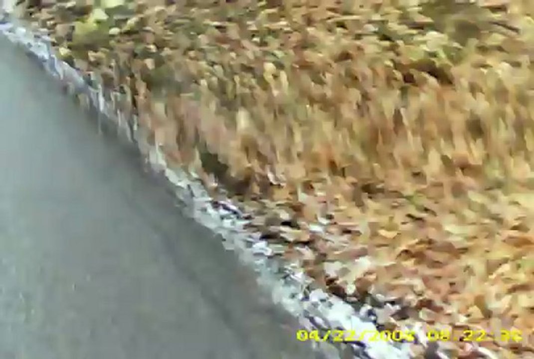 essai cam mini dv 80