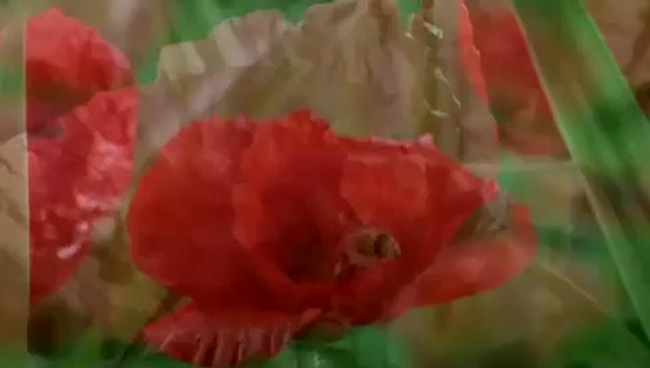 İmam Gazali - Ahiret 1. Bölüm