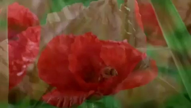 İmam Gazali - Ahiret 1. Bölüm