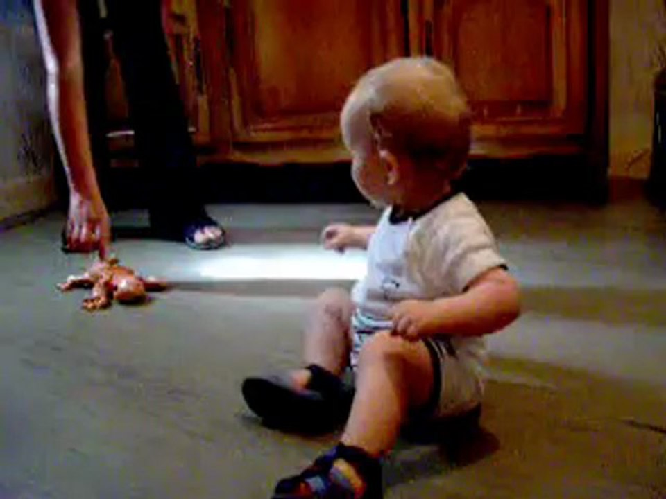 Mon petit crapaud qui fait son premier quattre patte, Adam ♥