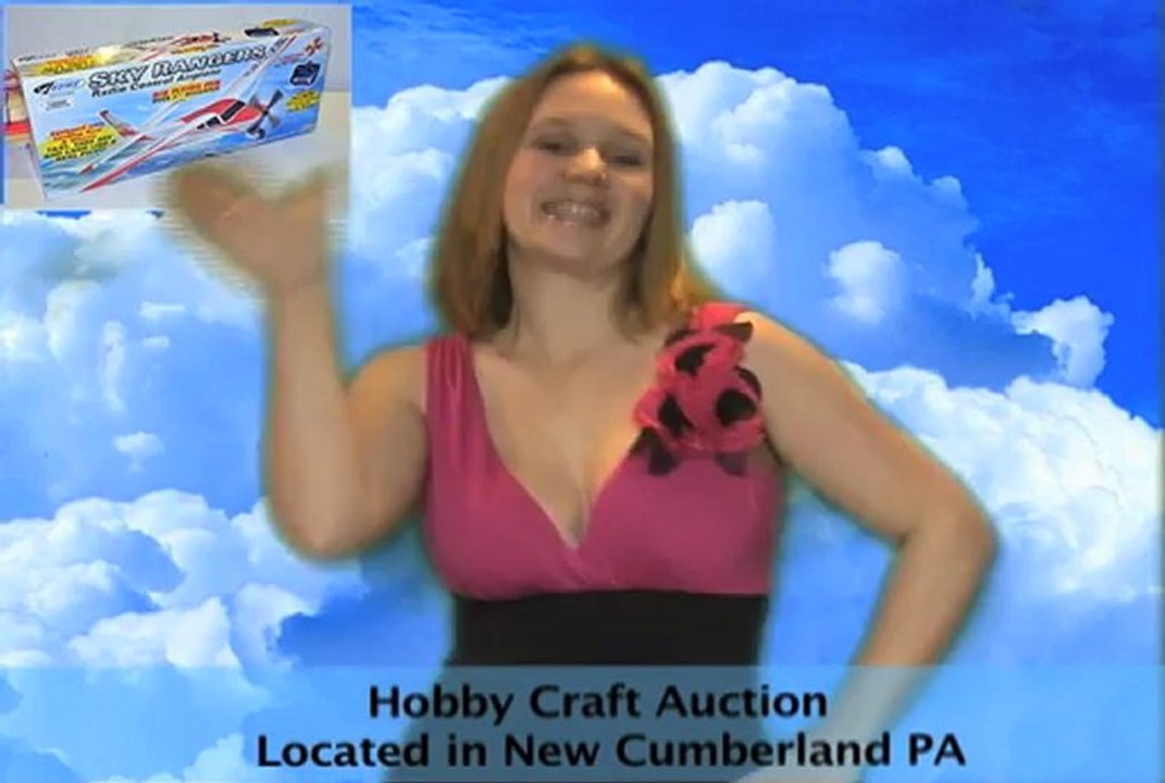 Hobby Craft Auction