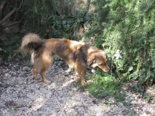 Le temps au temps...