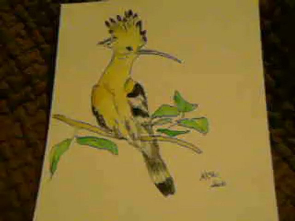 AQUARELLE oiseaux
