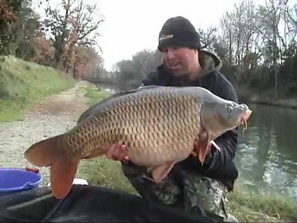 Pêche de la carpe en canal