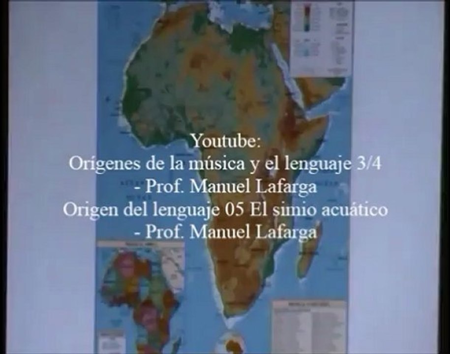 En busca del simio acuático