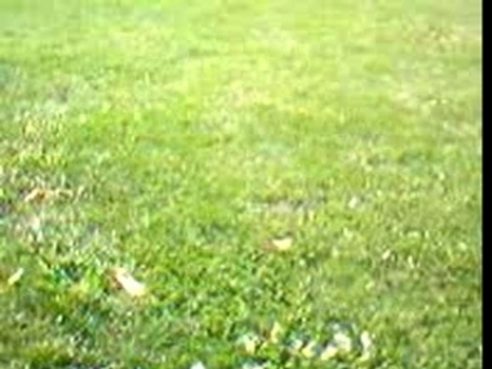 video_205