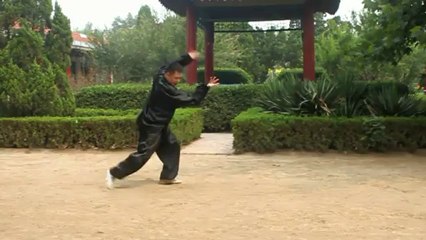 An Wushu - Baji Quan