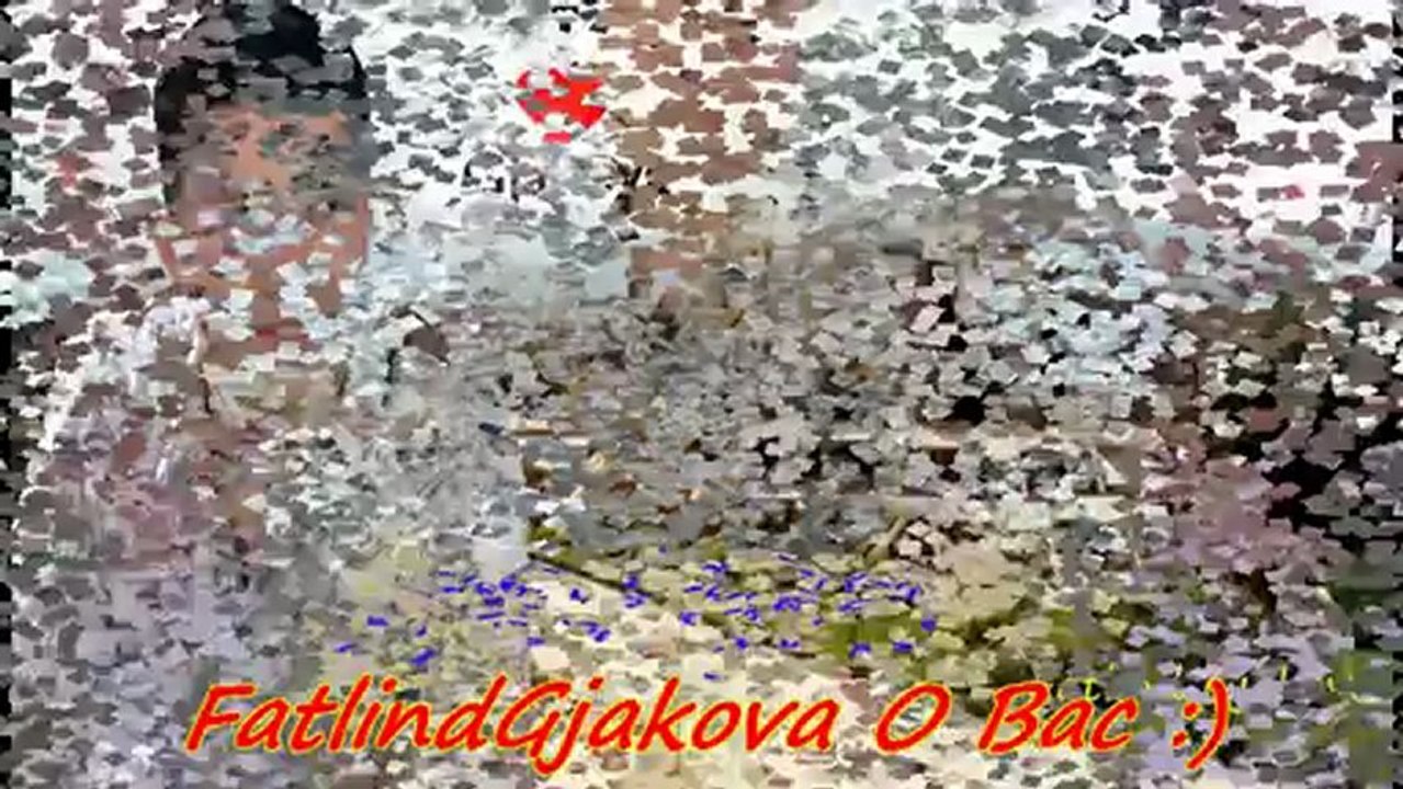 Shaip Alija 2012 - Do ti kallim Tallava 2012 LIVE