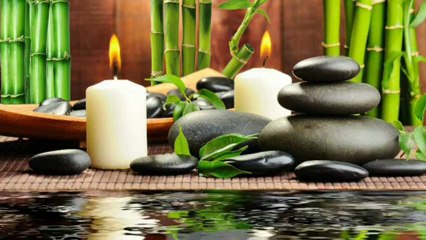Flowing bamboo...(Karunesh)