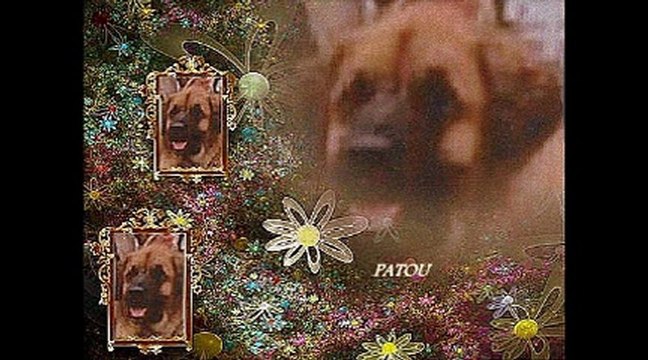 L'Ambre des Pierrières vous souhaite une Bonne Année 2013! Happy New Year 2013!