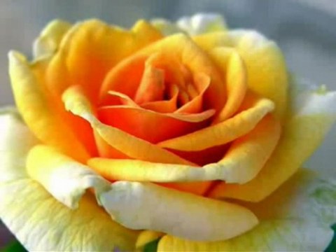 Поздравление с ДР