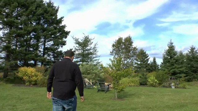 Bainbridge - Episode One - Birds Of The West Indies