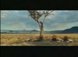 Black magic specialist  astrologer baba +91 9592358265