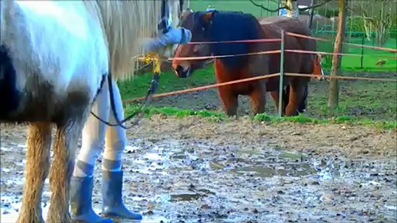 Sam, Maya et Soleil le 11 janvier 2013