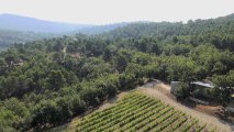 Vidéo aérienne par drone, art et travail du vin- DRONIMAGES