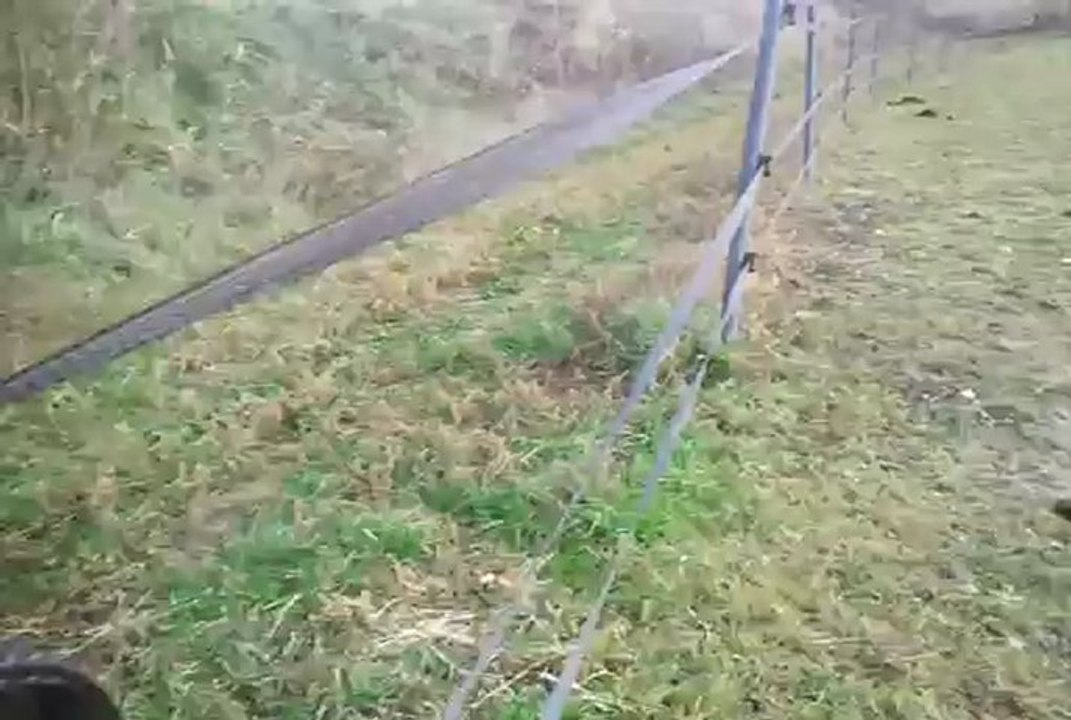 Une petite sieste
