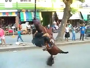 260555174061344_43207