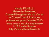 Voeux 2013 Nicole FANELLI Maire de Salernes Conseillère générale du Var et le Conseil municipal vous présentent leurs voeux les plus chaleureux salle Sandro http://www.ville-salernes.fr/