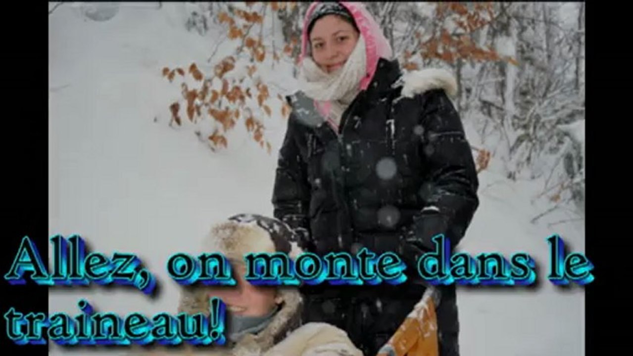 chiens