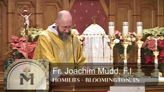 Jan 13 - Homily: Divinity of Jesus