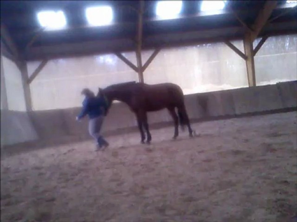 rodeo aspiration lateral et reculer 13 01 2013