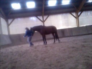 rodeo aspiration lateral et reculer 13 01 2013