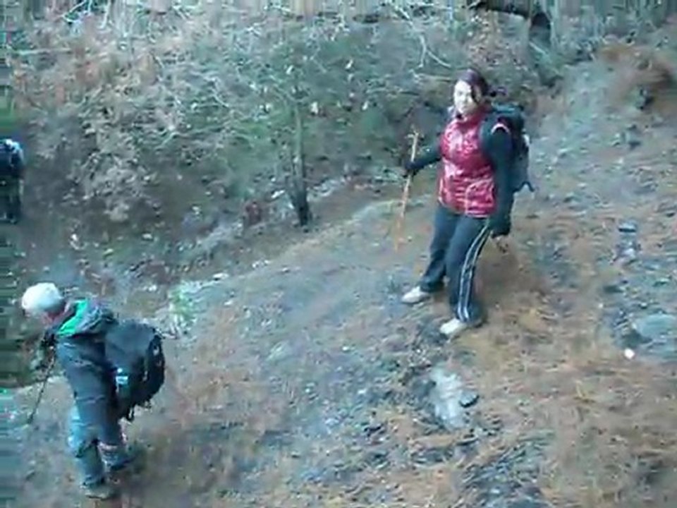 Koşarak