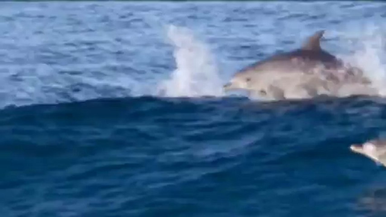 Ennio Morricone   Le vent, le cri