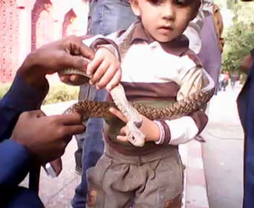 Bilal
