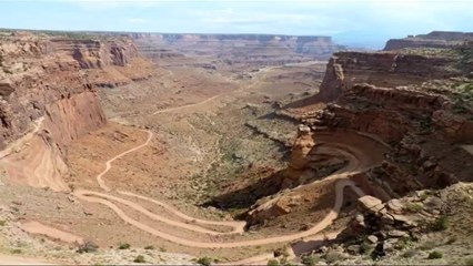 The Doors - Stoned Immaculate