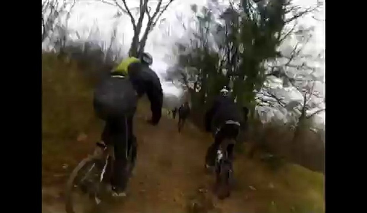 vtt limonest.avi