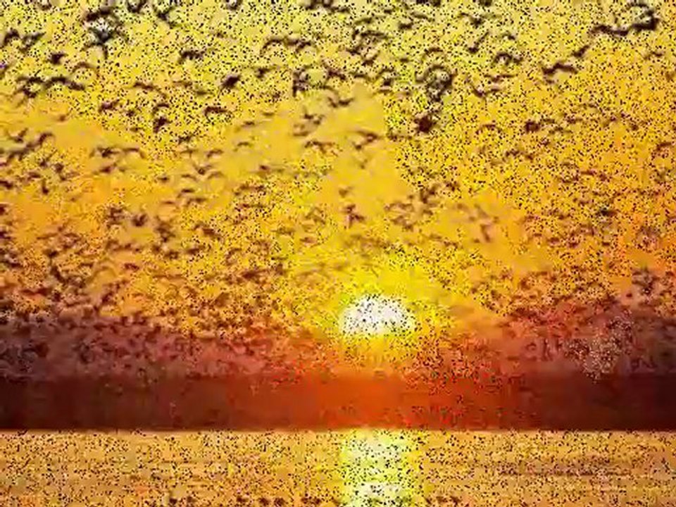 Wake Me Up When September Ends - Eu Mesmo