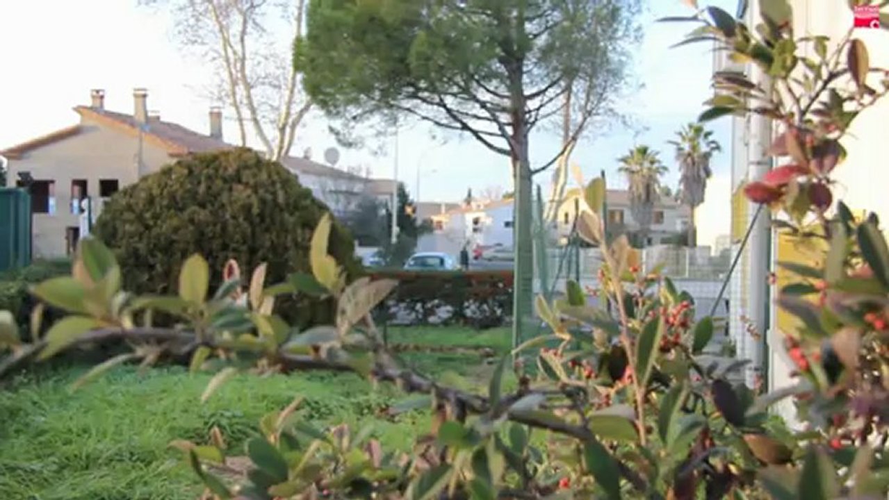 Appel aux votes - élection de la reine du carnaval 2013