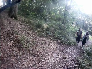 traxxas a big family