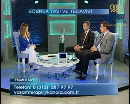 Böbrek taşı ağrısı nasıl geçer (Prof. Dr. Hasan Biri)
