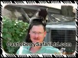 Pet Genets For Sale Texas | (512) 639-4087