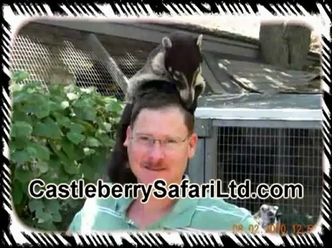 Pet Genets For Sale TX | (512) 639-4087