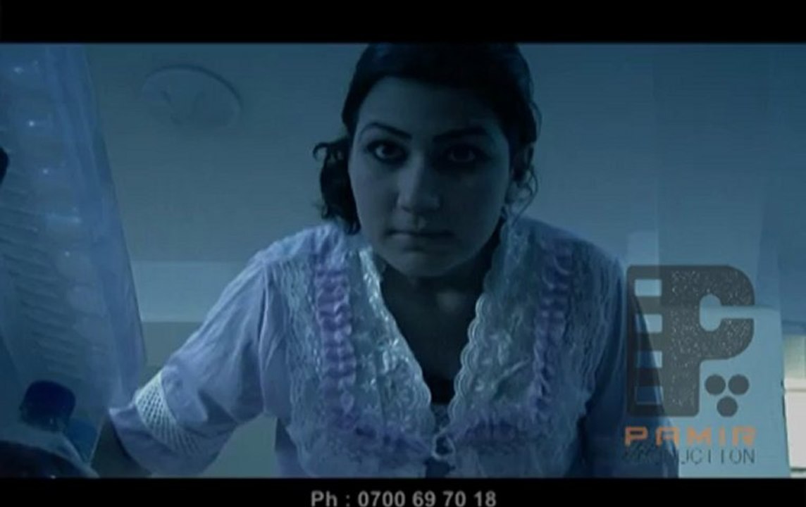 Singer Refrigerator 50 Sec TVC