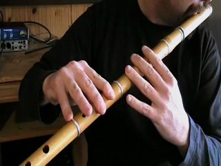 Banks of the Ilen Reel - Tutoriel de flûte traversière irlandaise - Tradschool