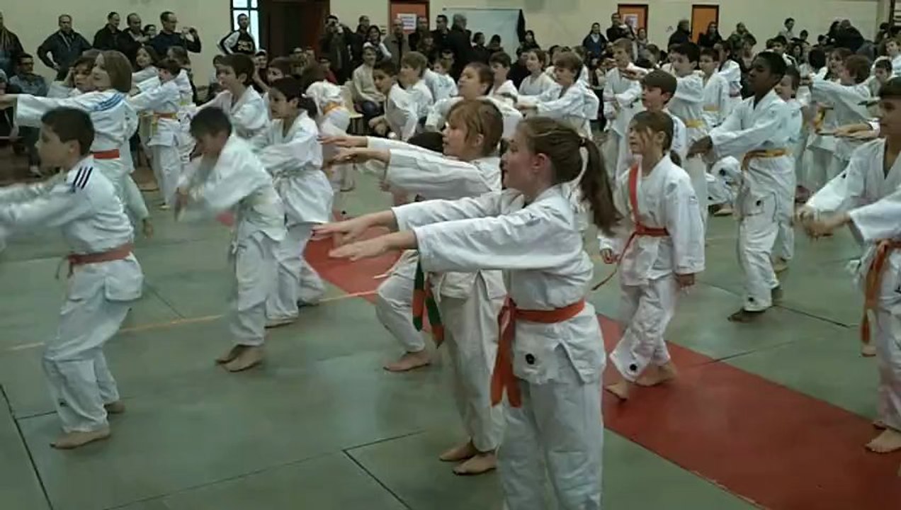 Judo Ecully samedi 12 janvier