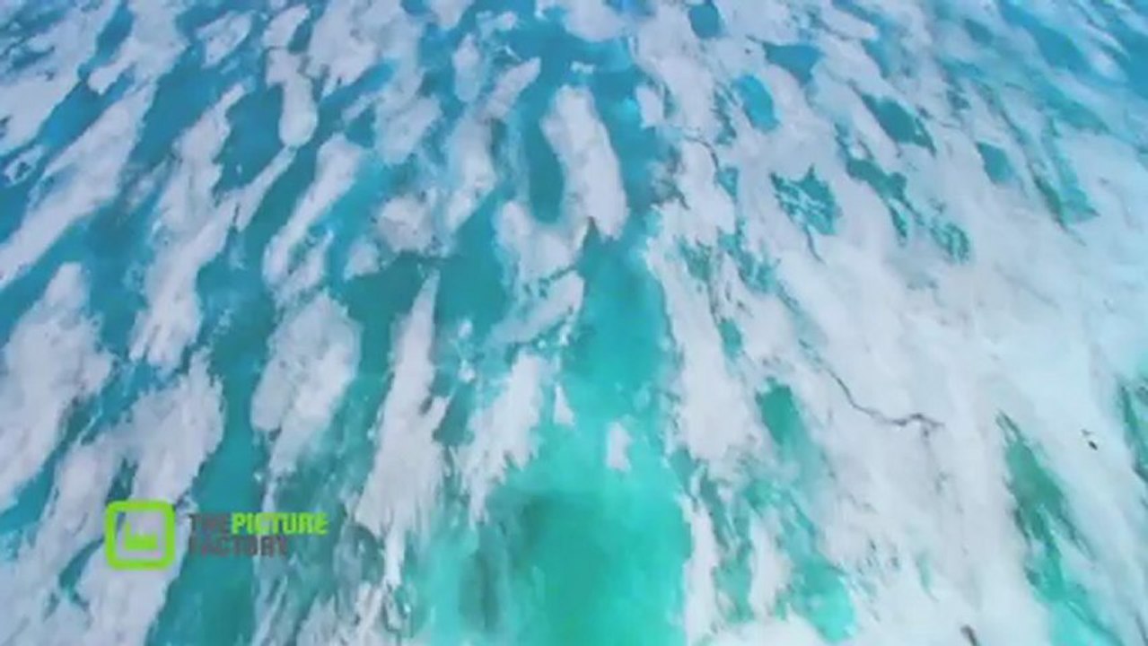 Les glaciers