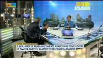 Hollande en visite aux Émirats arabes unis : Antoine Sfeir  - 14 janvier - BFM : GMB