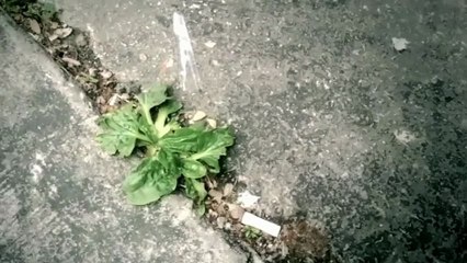 Home - Bande-annonce #1 : sortie du jeu