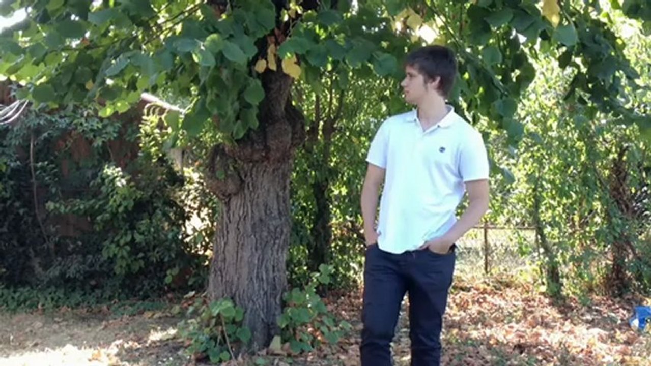 Vidéos des internautes - Vayweek News 1