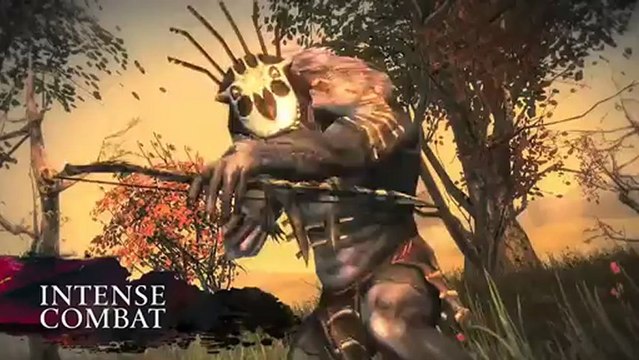 Guild Wars 2 - Bande-annonce #26 - Qu'est ce que Guild Wards 2 ?