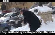 Bayburt Belediyesi Kuşlara Yem Bıraktı