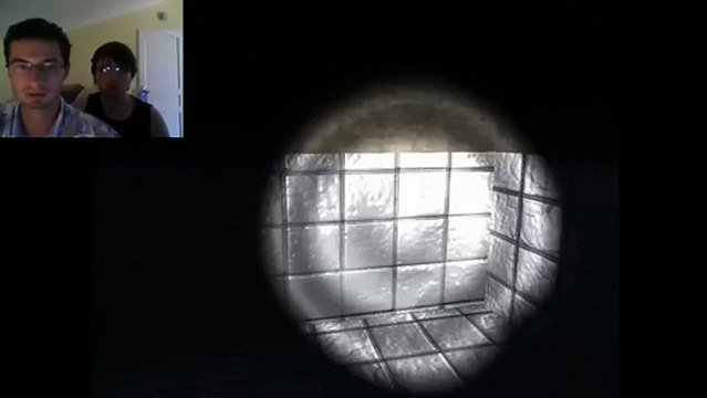 Soigner un palmier nain