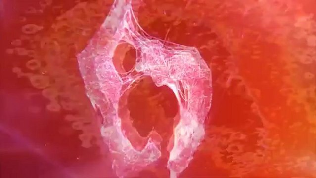 Resident Evil 6 - Bande-annonce #5 - Trailer Comic-Con 2012 (FR)